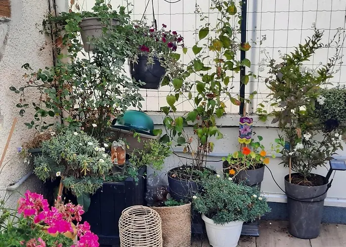 Maison Tranquille Dans Centre Périgueux