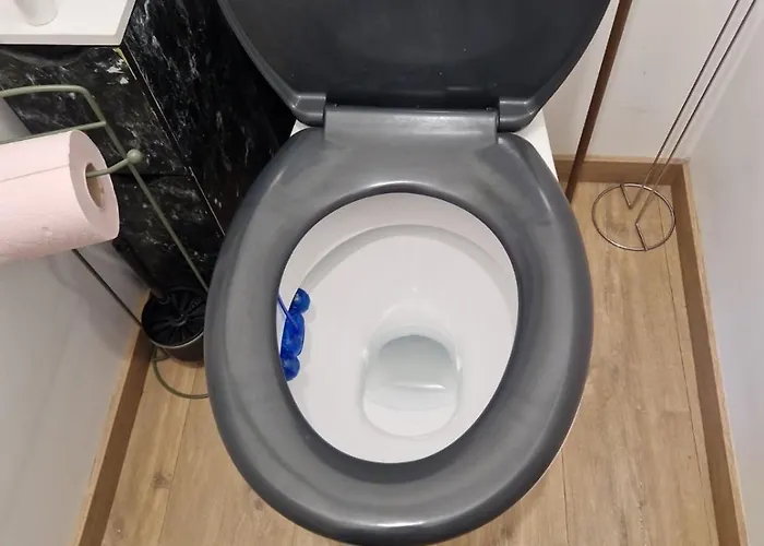 Maison Tranquille Dans Centre *